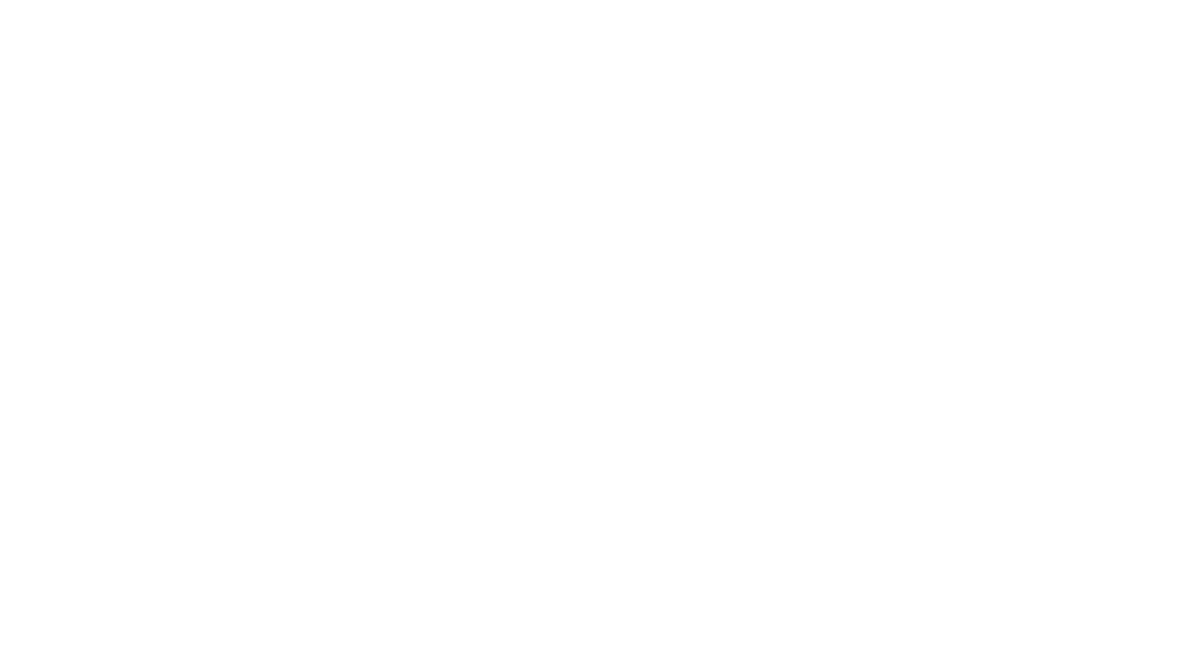 logo valores